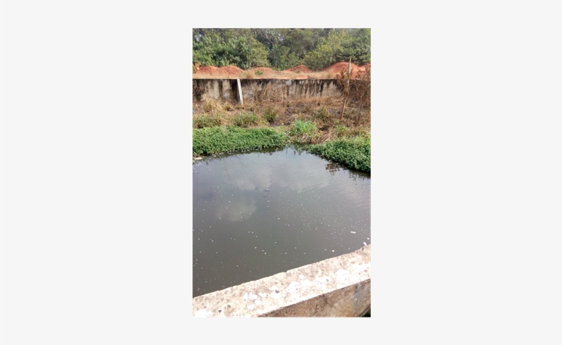 Erosion Control Works At University Of Benin - Reflection, transparent png