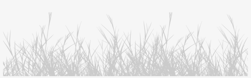 Slide 1 Grama Cz - Grass, transparent png