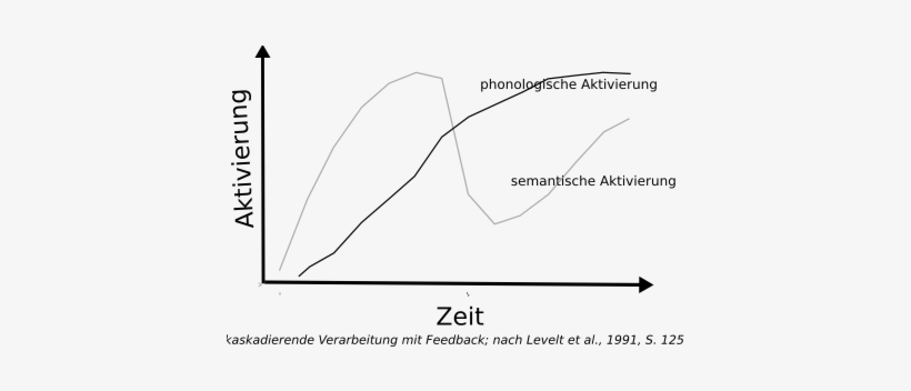 Aktivierung Levelt 1991 Kaskadierend Mit Feedback - Feedback, transparent png