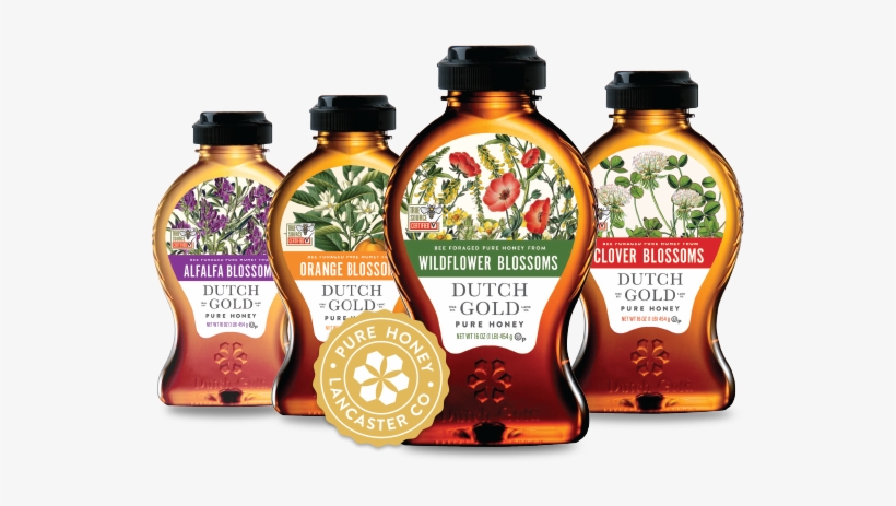 Bottles - Kavka Oranges By Terri Ellis Graphic Art, transparent png