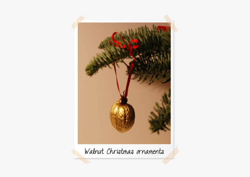 I Thought It Would Be Fun To Hang Some On The Christmas - Gold Walnut Christmas Decorations, transparent png