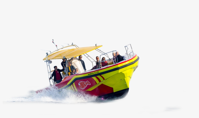 Experiencia Nemo - Costa Brava Glass Bottom Boat, transparent png