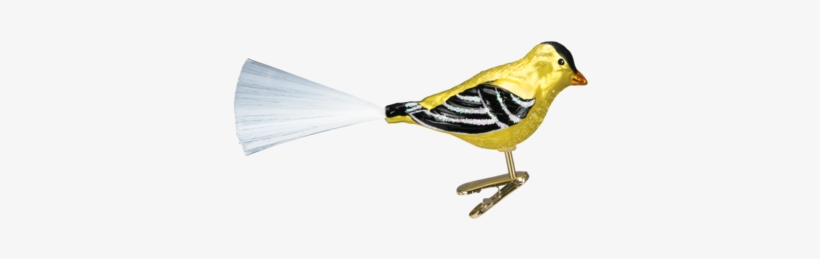 Take A Look At Our Western Goldfinch 18038 Old World - Christmas Ornament, transparent png