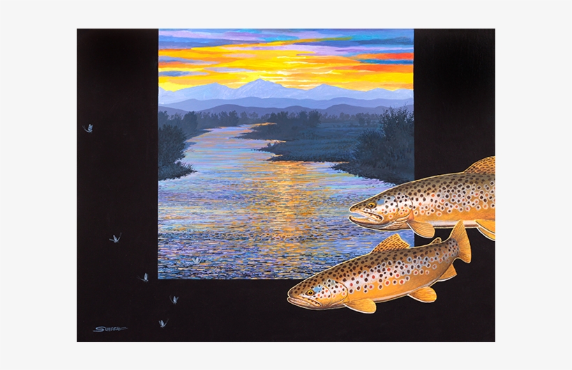 Trout - Painting, transparent png