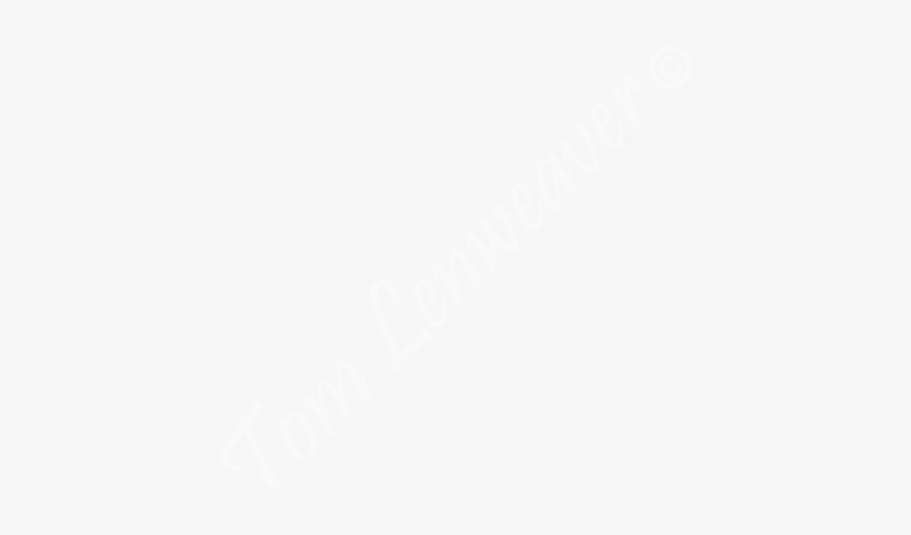 Blue Cohosh Print - French Flag 1815 1830, transparent png