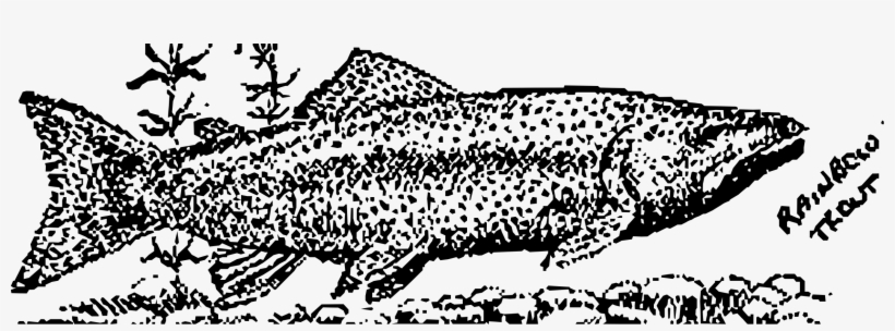 This Free Icons Png Design Of Rainbow Trout, transparent png