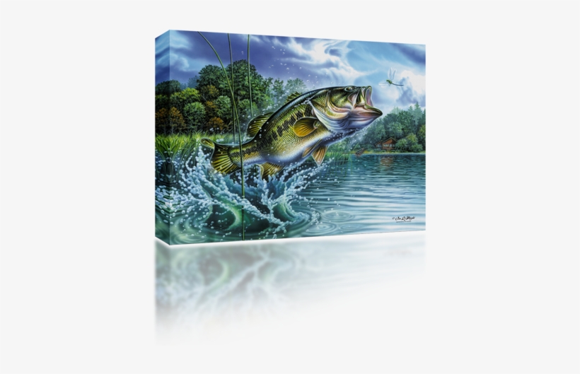 Airborne Bass - Bass Fish Jumping, transparent png