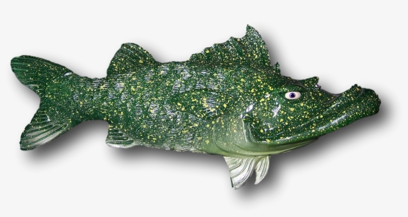 Custom Criffster Fish - American Crocodile, transparent png