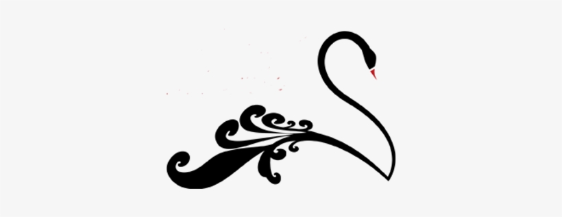 Black Swan Agency - Logo Black Swan Em Png, transparent png