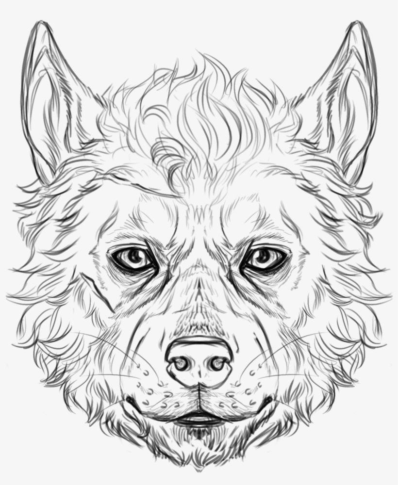 Wolf Faces - Drawing, transparent png