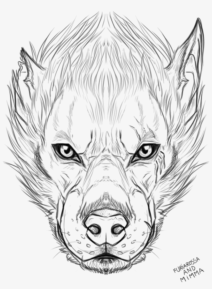Wolf Faces - Drawing, transparent png