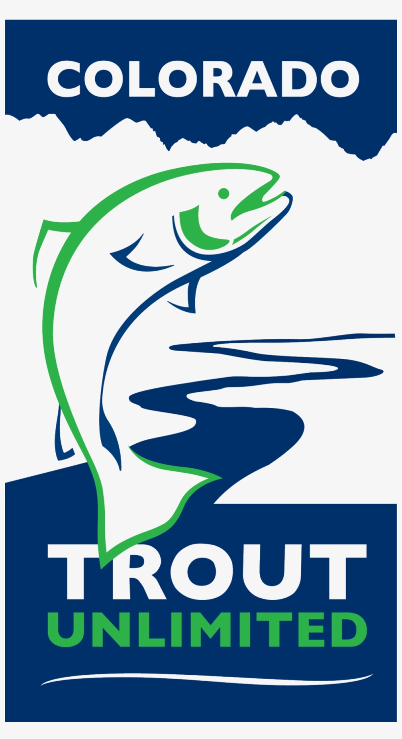 Trout Png, transparent png