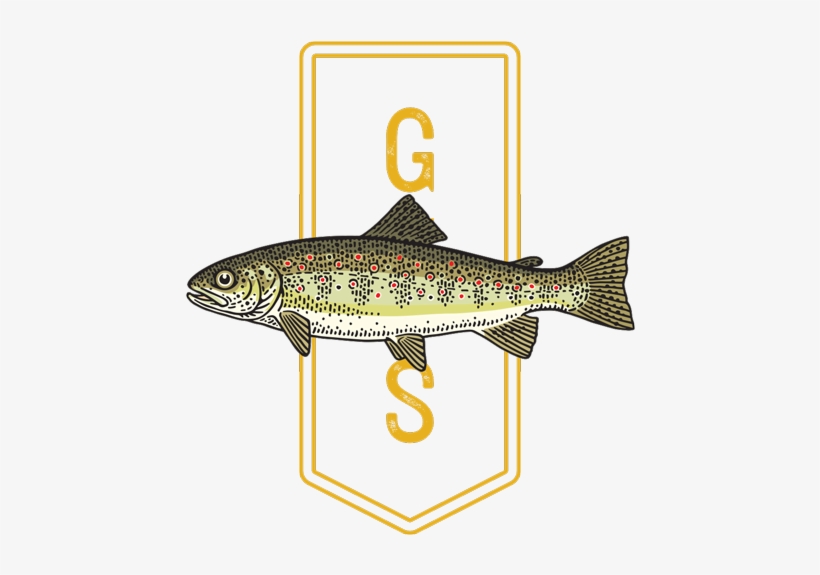 Trout, transparent png