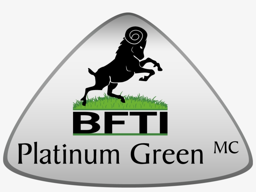 Bfti Platinium Fr Vecto - Silhouette, transparent png