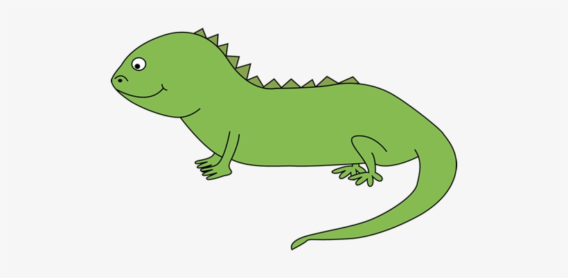 Free Lizard Clipart - Iguana Clipart, transparent png