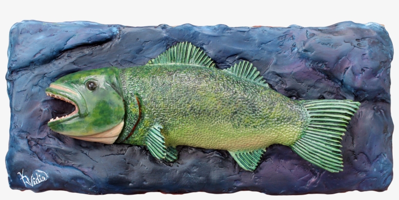 Fish On Wall Light Weight Drywall Mud & Oil - Bass, transparent png
