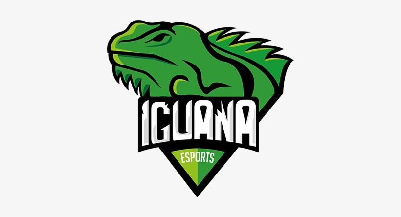 Iguana Esportslogo Square - Iguana Team, transparent png