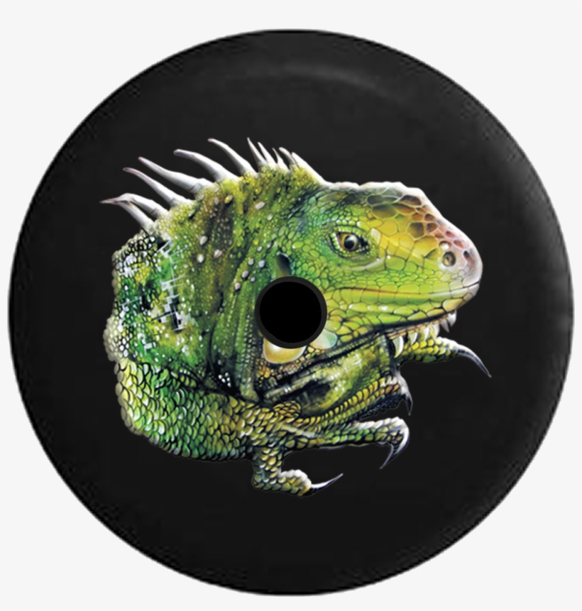 Jeep Wrangler Jl Backup Camera Iguana Green Tropical, transparent png