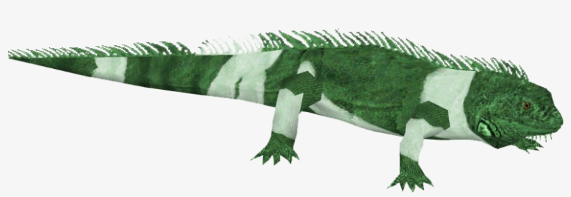 Fiji Crested Iguana 9 - Green Iguana, transparent png