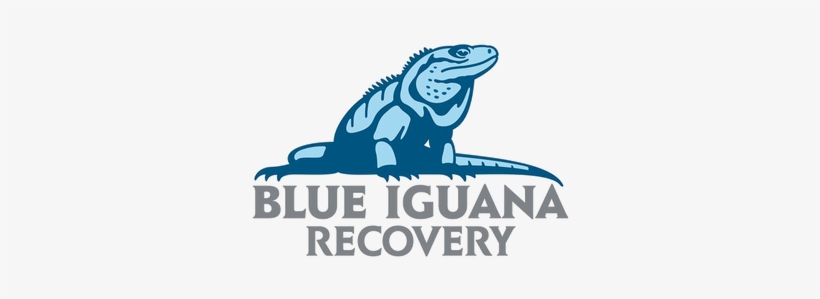 Blue Iguana Nature Reserve, transparent png