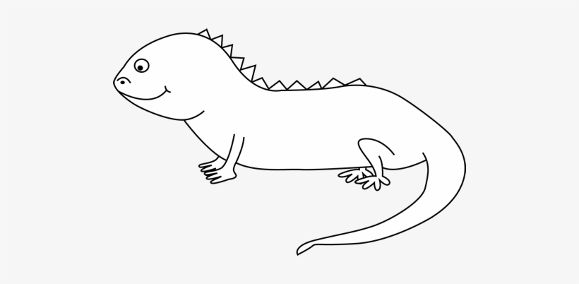 Iguana - Iguana Black And White Clipart Png, transparent png