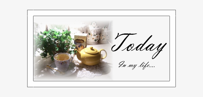 Today In My Life - Affordable Bail Bonds, transparent png