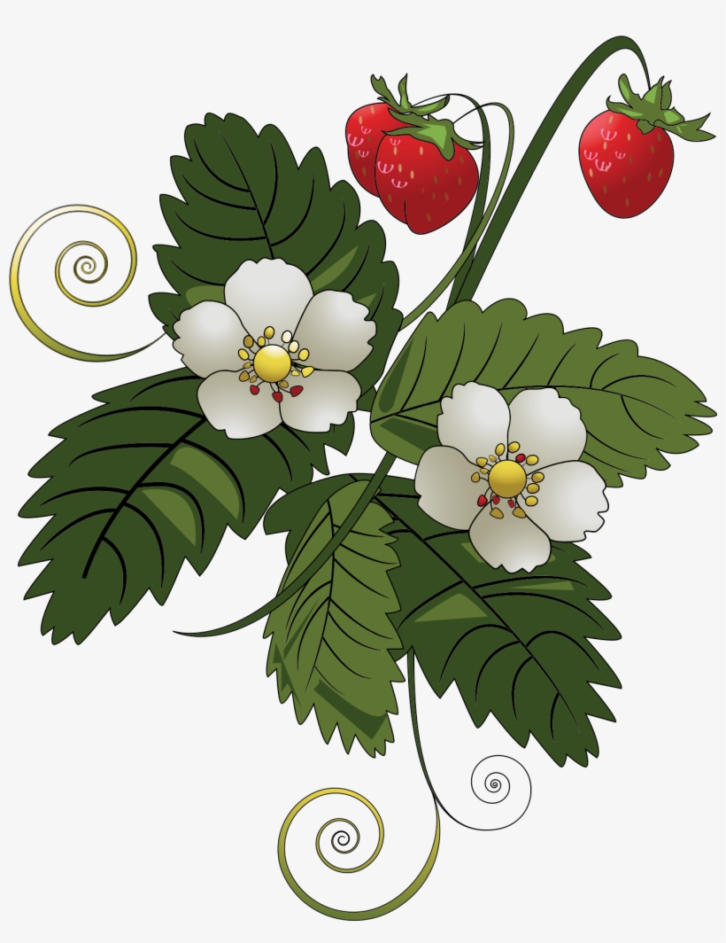 Big Image - Strawberry Tree Clip Art, transparent png