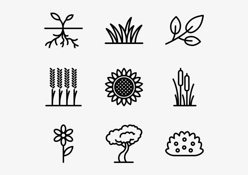 Plants And Flowers - Black And White Plants Png, transparent png