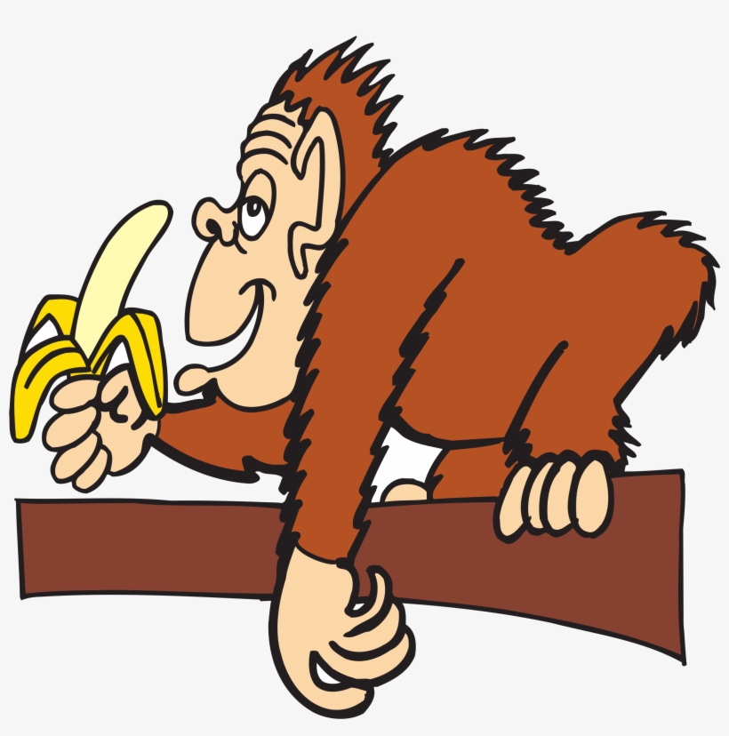 People Clipart Banana - Monkeys Eating Bananas Clipart, transparent png