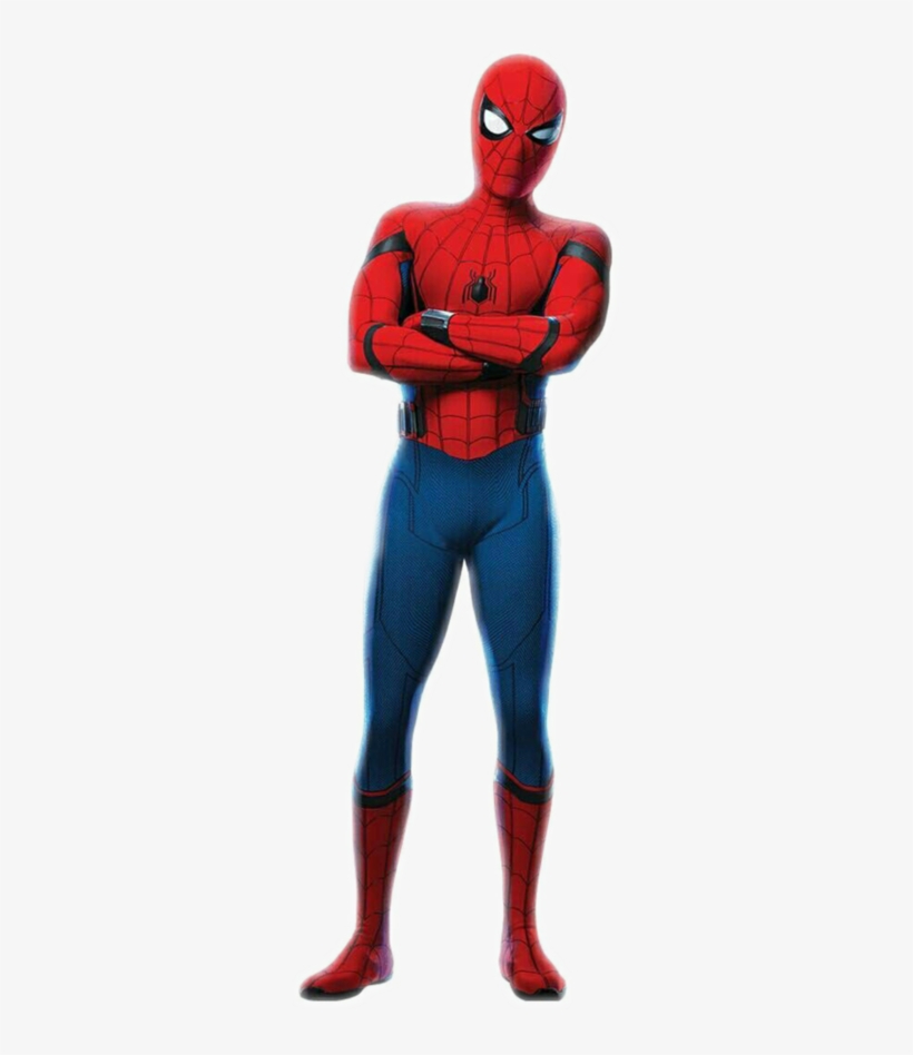 Spider-man Standing Transparent Images - Spiderman Homecoming Spiderman Png, transparent png