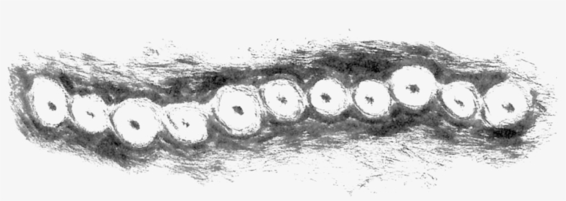 As Bennett Suggested, Teenagers Are Becoming Increasingly - Sketch, transparent png