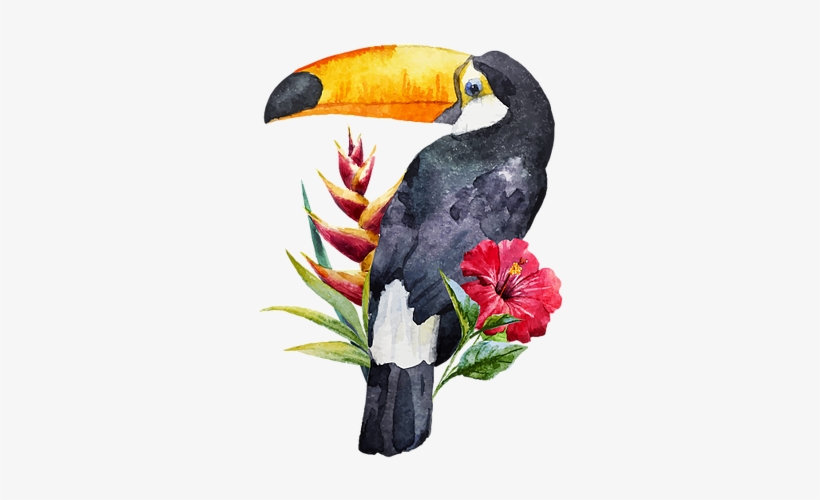 Toucan Watercolor, transparent png