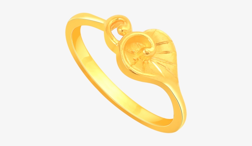 Circle, transparent png