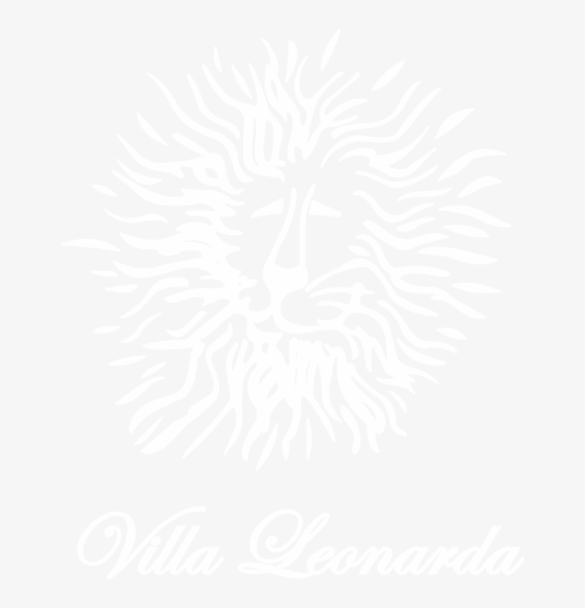 Logo Leonarda Efectos - Vivid Clothing, transparent png