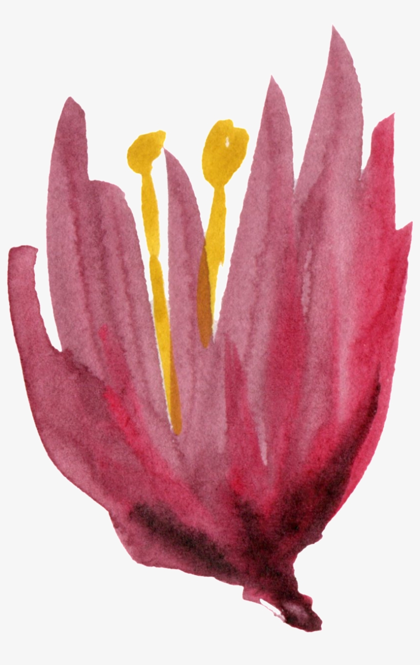 Dibujado A Mano Decoracion De Flores Pintado A Mano - Lily, transparent png