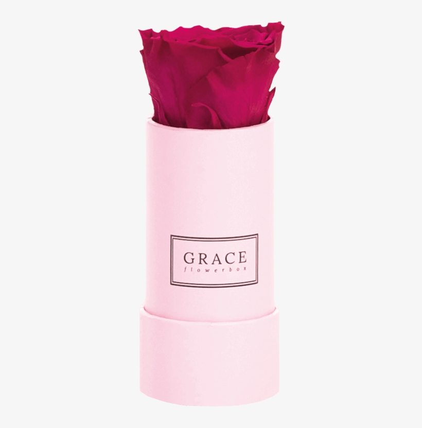 Rose, transparent png