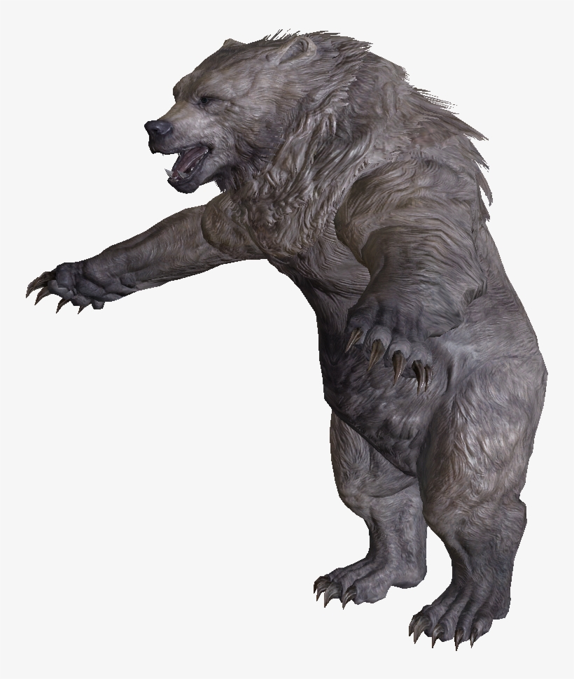 Snow Bear - Skyrim Bear Png, transparent png