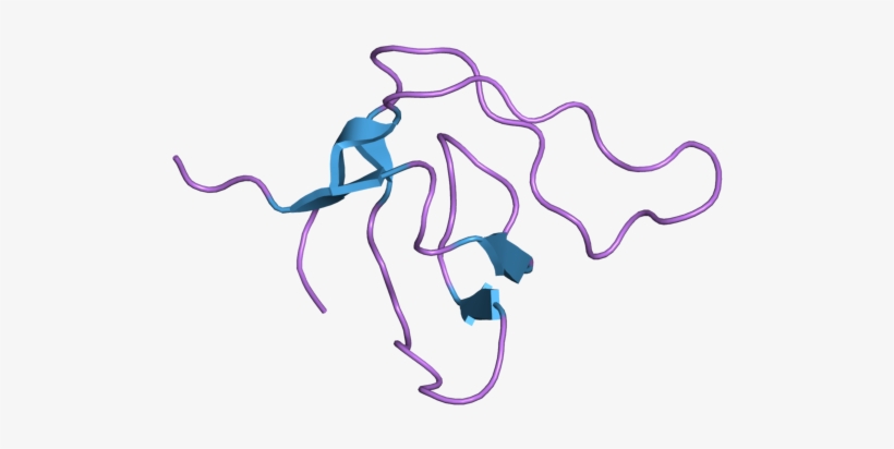 Pdb 2bzx Ebi - Illustration, transparent png