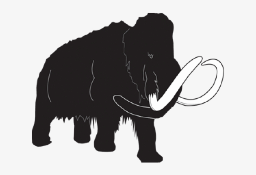 Indian Elephant, transparent png