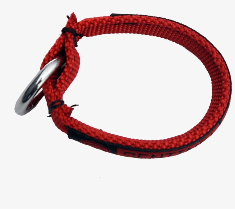 2017 Slingshot Sentinel Css Safety Red Webbing Loop - Circle, transparent png