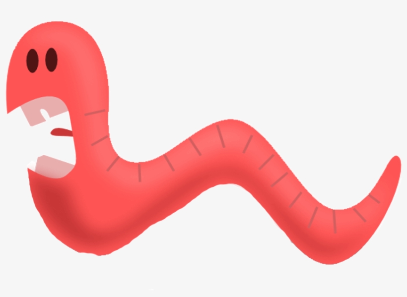 Worms Png Picture - Marine Invertebrates, transparent png