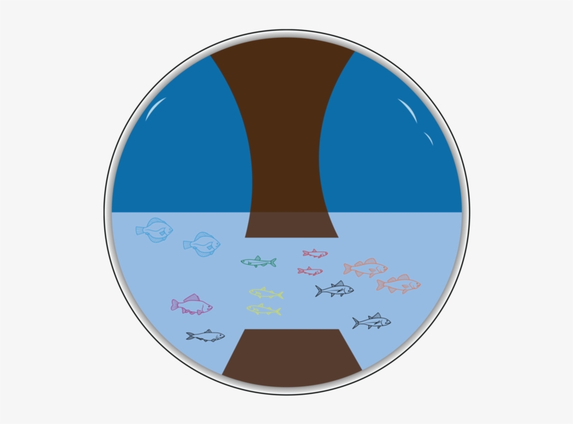 Glass Ball Illustration Design - Circle, transparent png