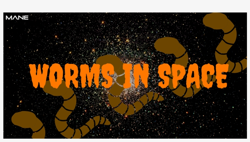 Contact Us - Poster, transparent png