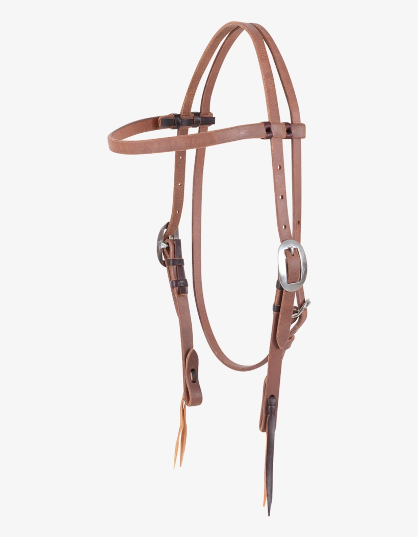 Hb21ant - Halter, transparent png