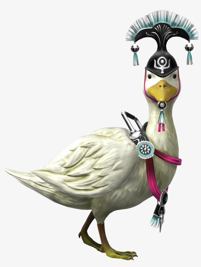 Parrot, transparent png