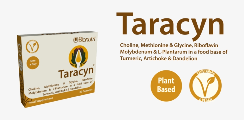 Taracynv2-01 - Box, transparent png