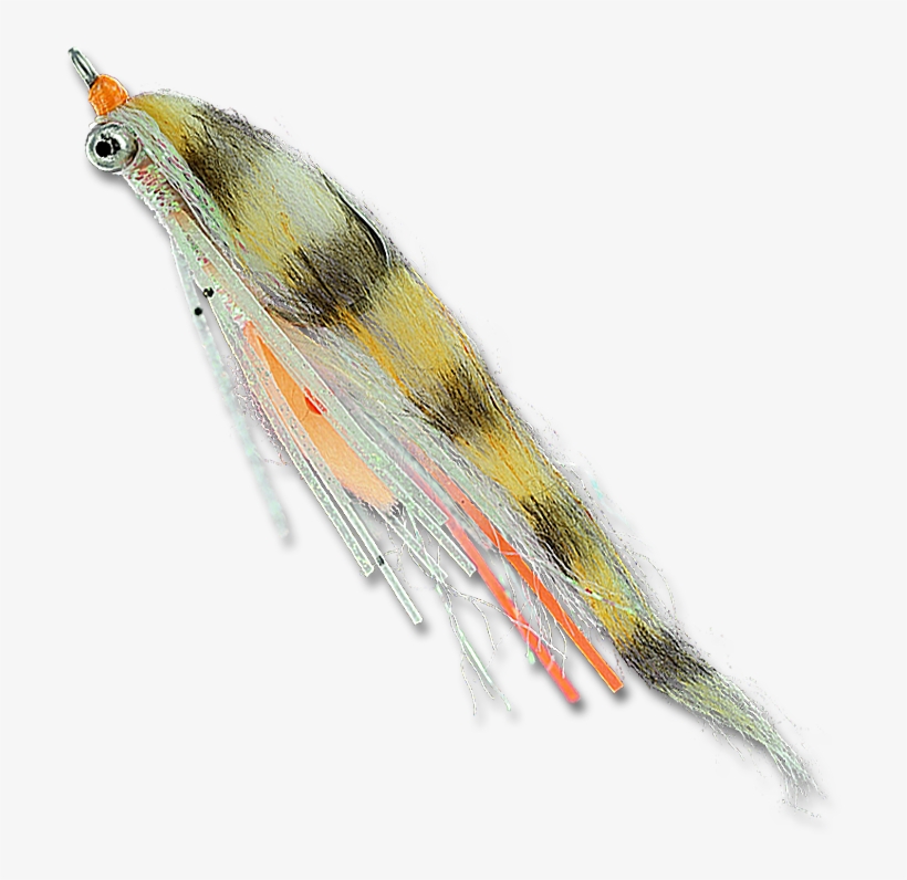 Sketch, transparent png