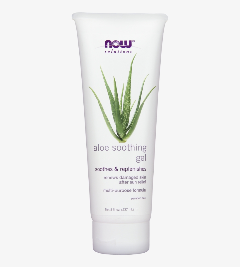 Product Description - Agave, transparent png