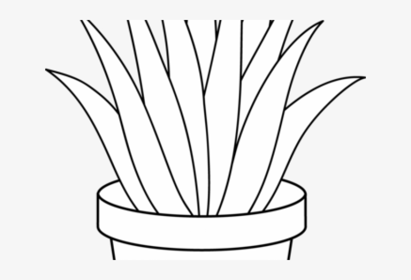 Aloe Clipart Succulent - Houseplant, transparent png