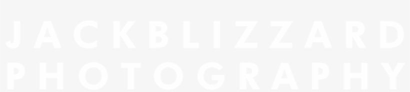 Newlogo1 - Twitter White Icon Png, transparent png